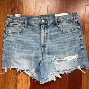 American Eagle Outfitters Blue Distressed Jean Shorts